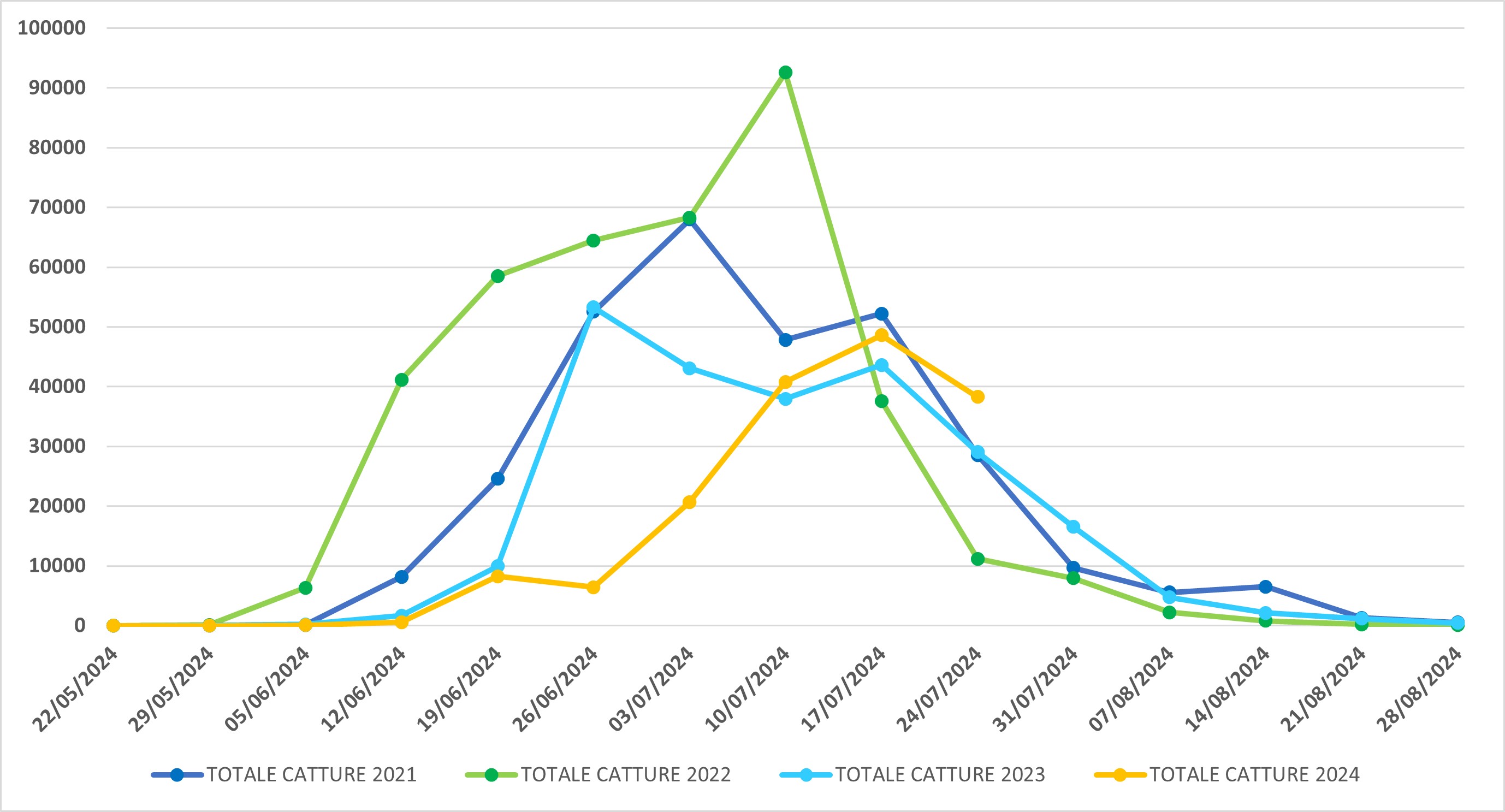 Catture di Popillia japonica sul territorio della regione Lombardia (confronto 2021-2024)