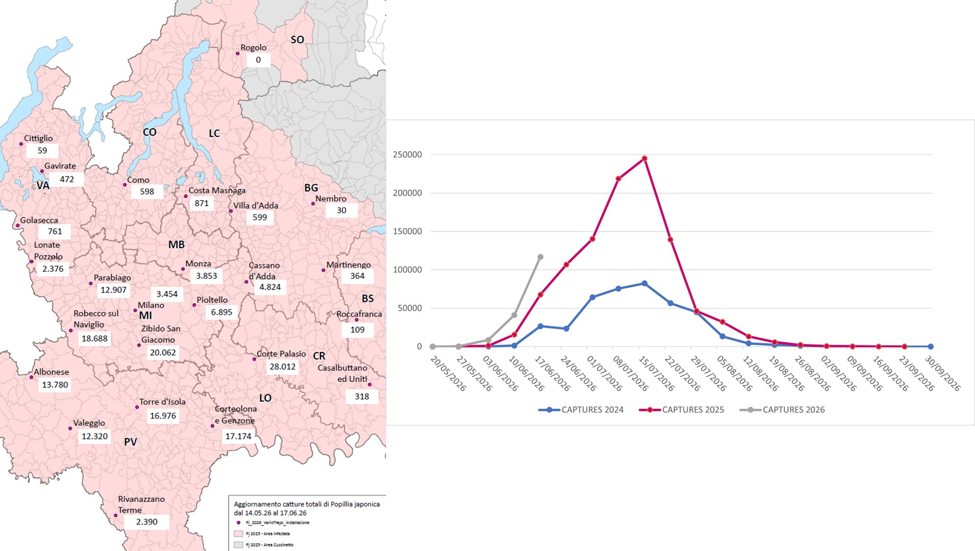 Captures of Popillia japonica in Lombardy Region (years 2024-2025-2026) and distribution map