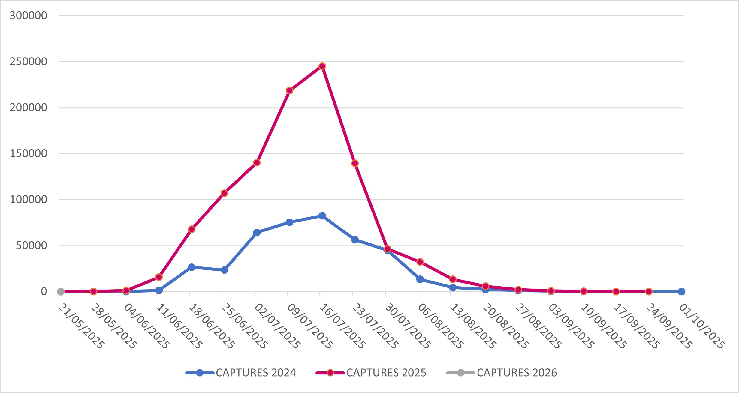 Captures of Popillia japonica in Lombardy Region (years 2024-2025-2026)