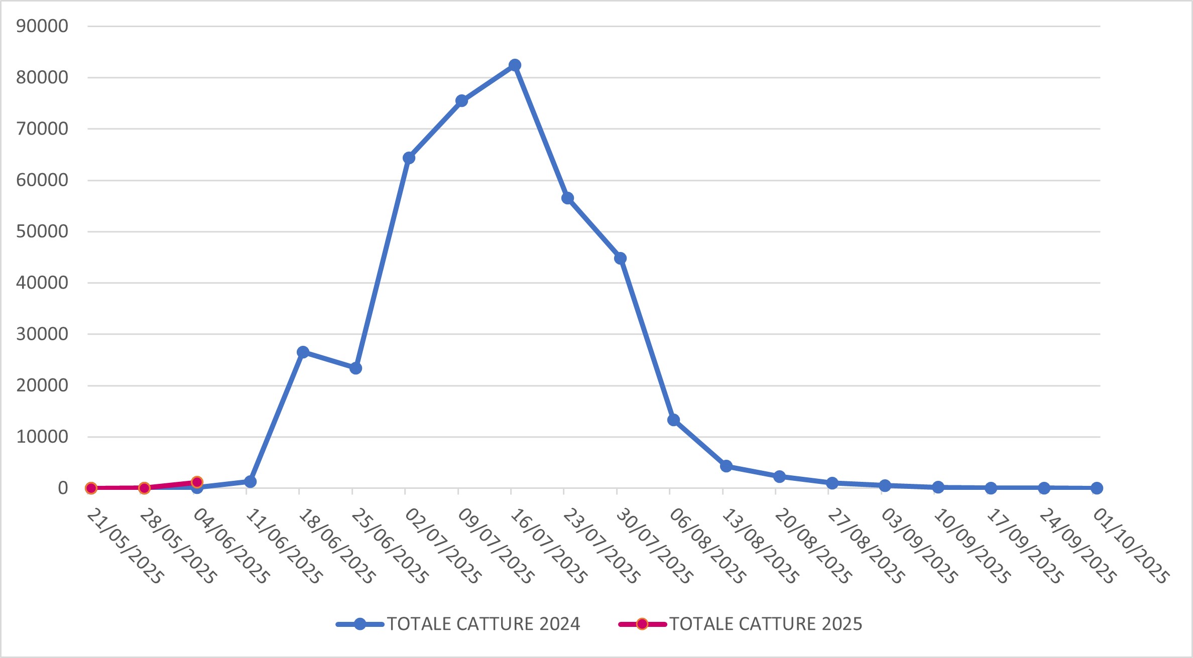 Catture di Popillia japonica sul territorio della regione Lombardia (confronto 2024-2025)