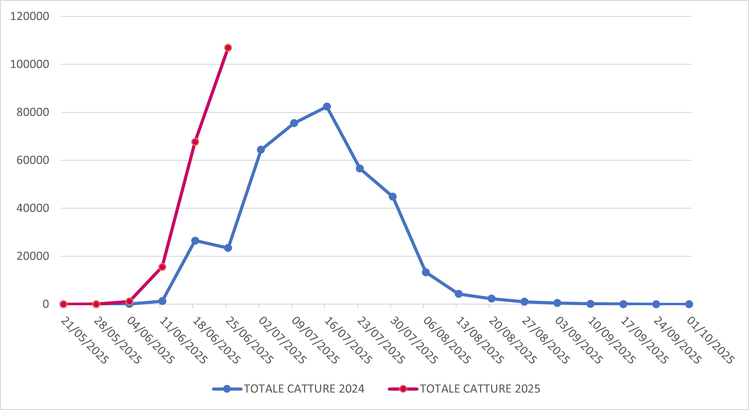 Catture di Popillia japonica sul territorio della regione Lombardia (confronto 2024-2025)