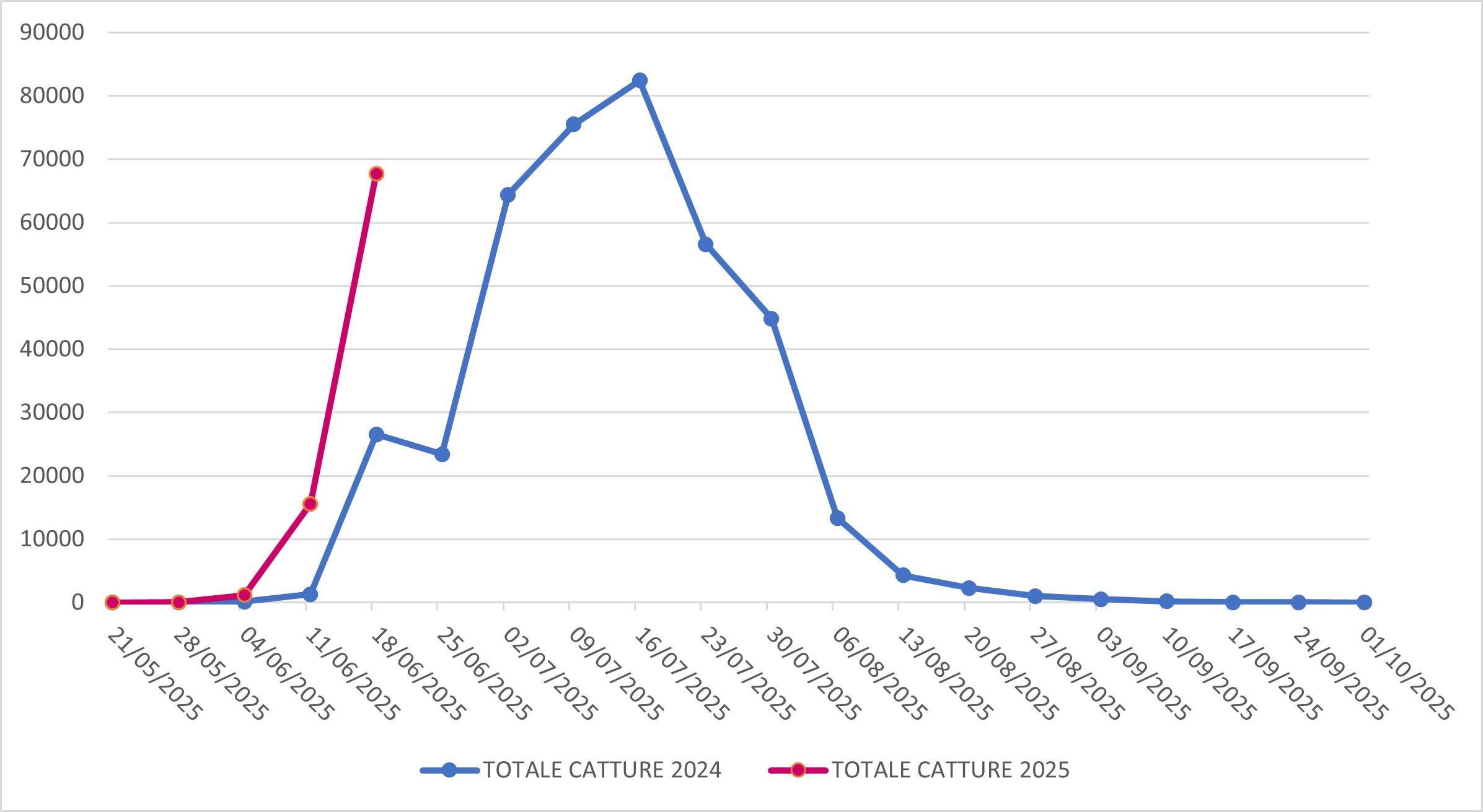 Catture di Popillia japonica sul territorio della regione Lombardia (confronto 2024-2025)