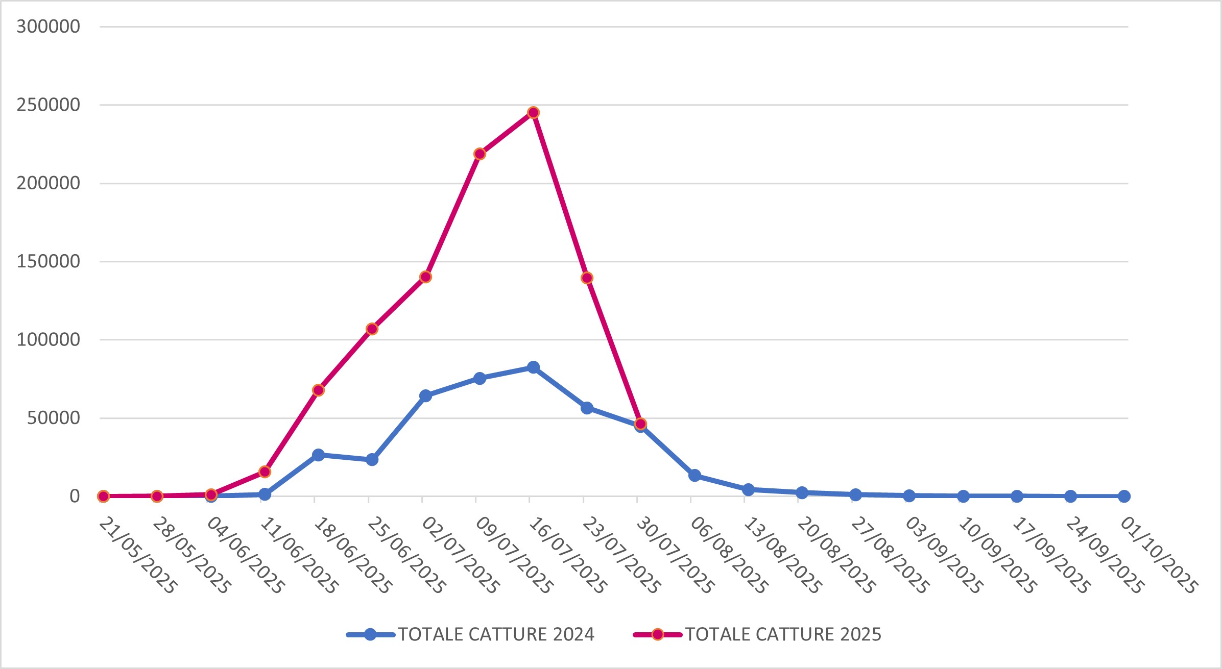 Catture di Popillia japonica sul territorio della regione Lombardia (confronto 2024-2025)
