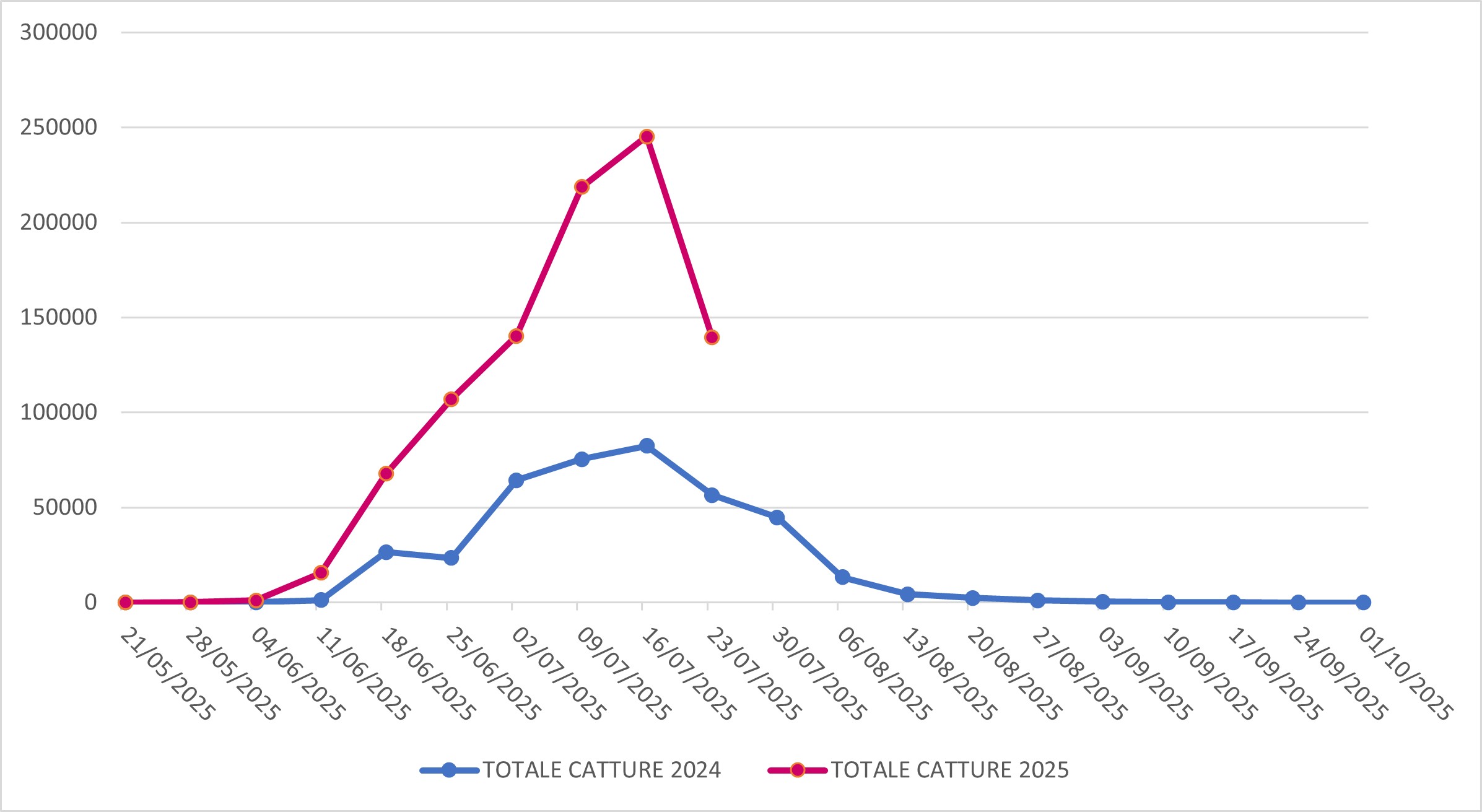 Catture di Popillia japonica sul territorio della regione Lombardia (confronto 2024-2025)