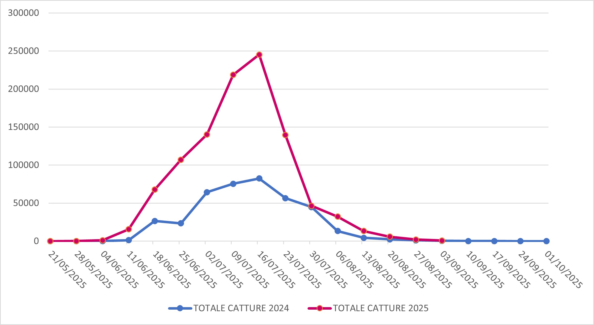 Catture di Popillia japonica sul territorio della regione Lombardia (confronto 2024-2025)