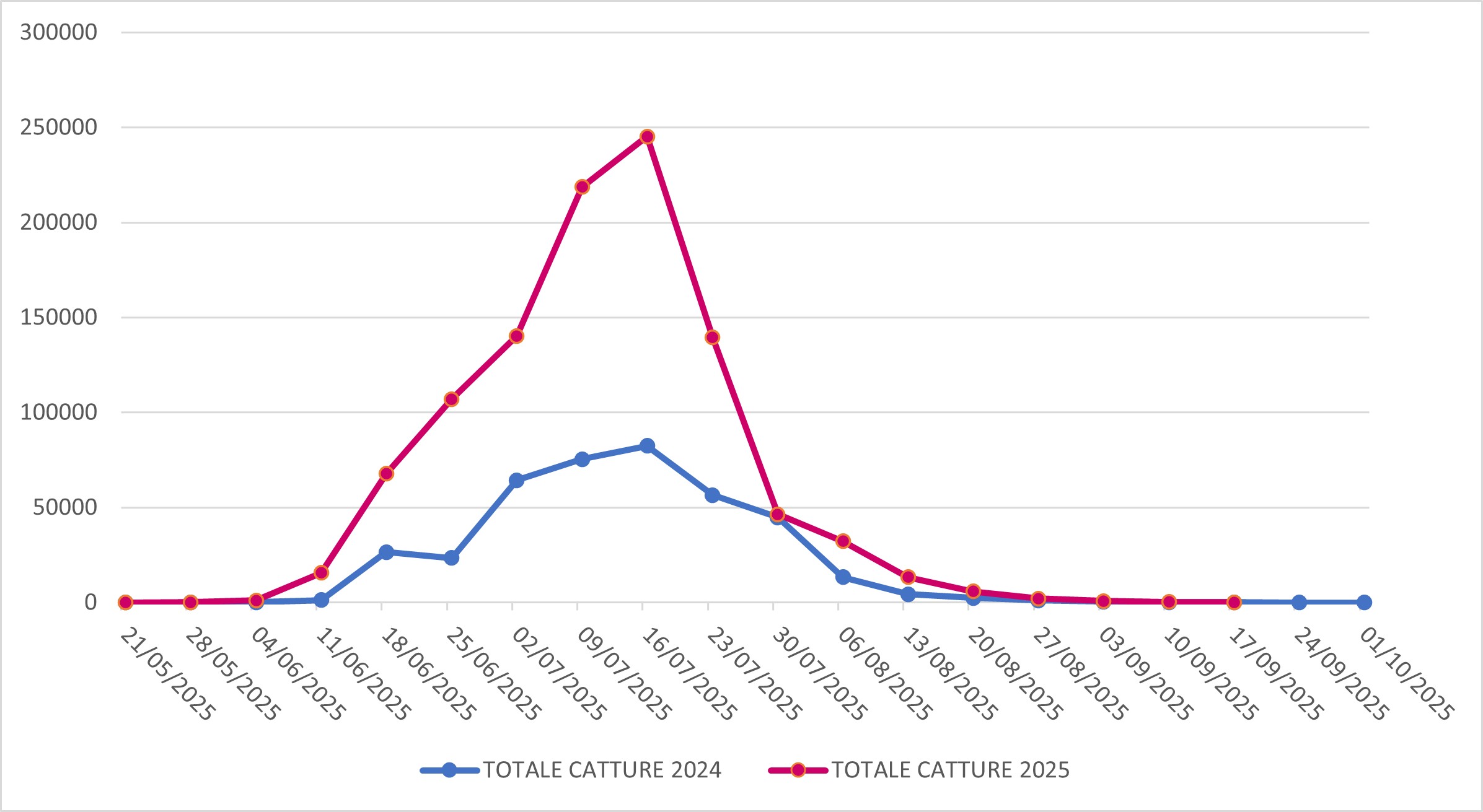 Catture di Popillia japonica sul territorio della regione Lombardia (confronto 2024-2025)