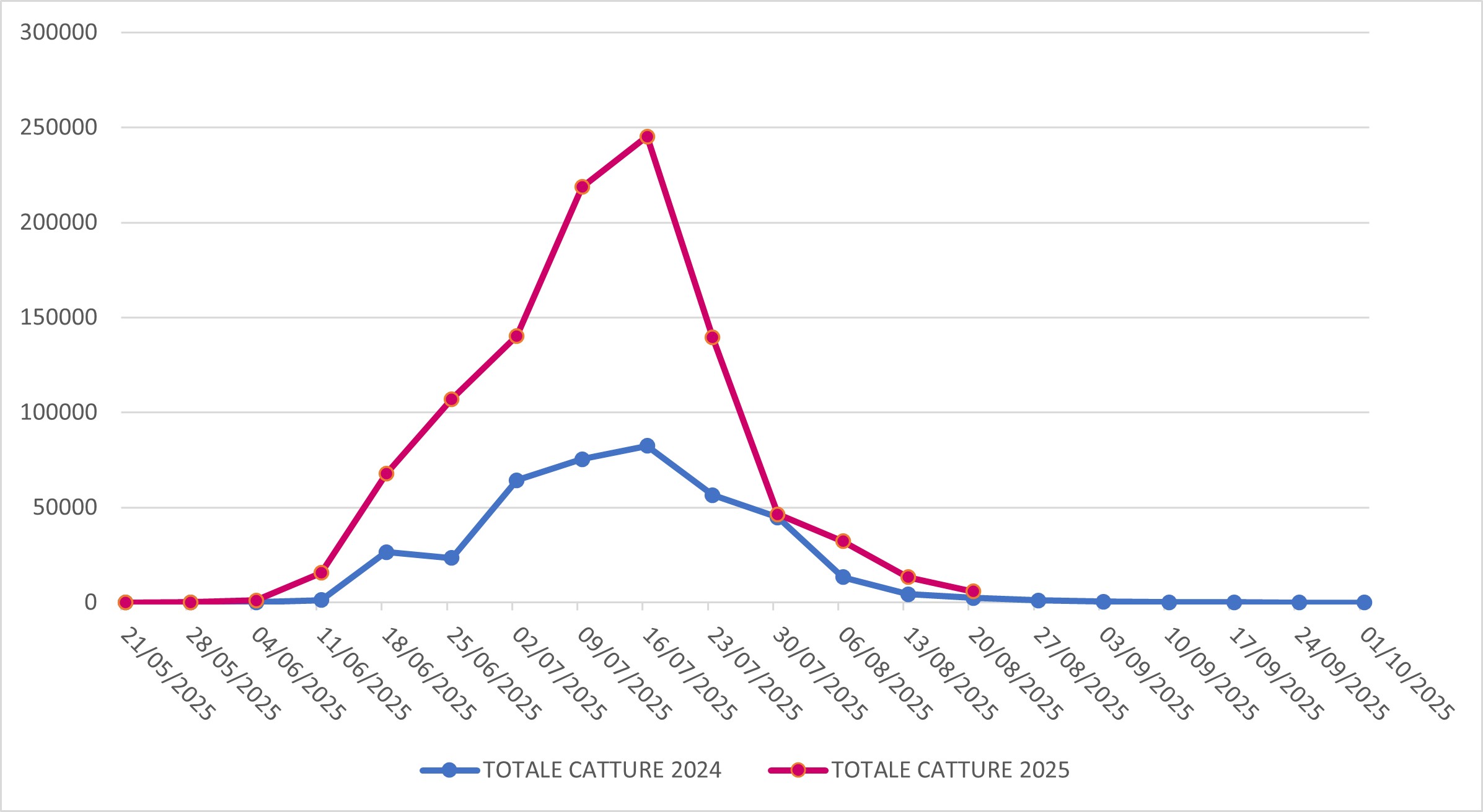 Catture di Popillia japonica sul territorio della regione Lombardia (confronto 2024-2025)