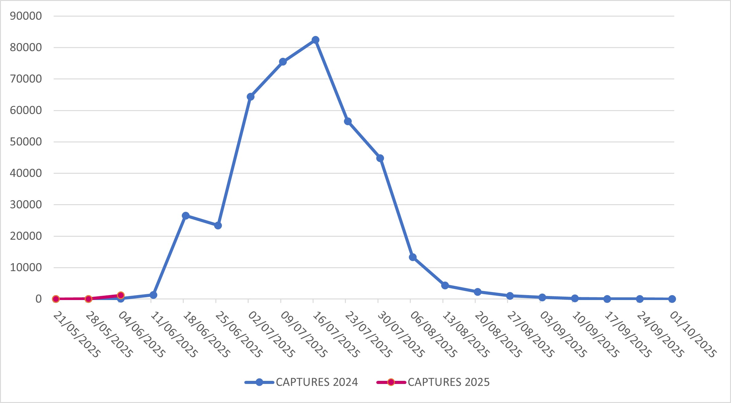 Captures of Popillia japonica in Lombardy Region (years 2024-2025)