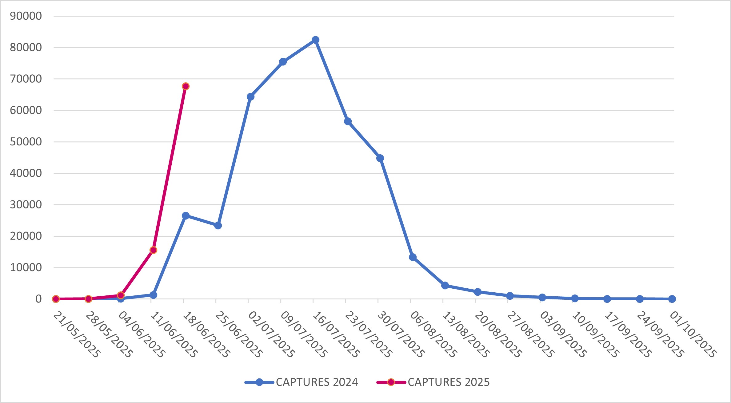 Captures of Popillia japonica in Lombardy Region (years 2024-2025)