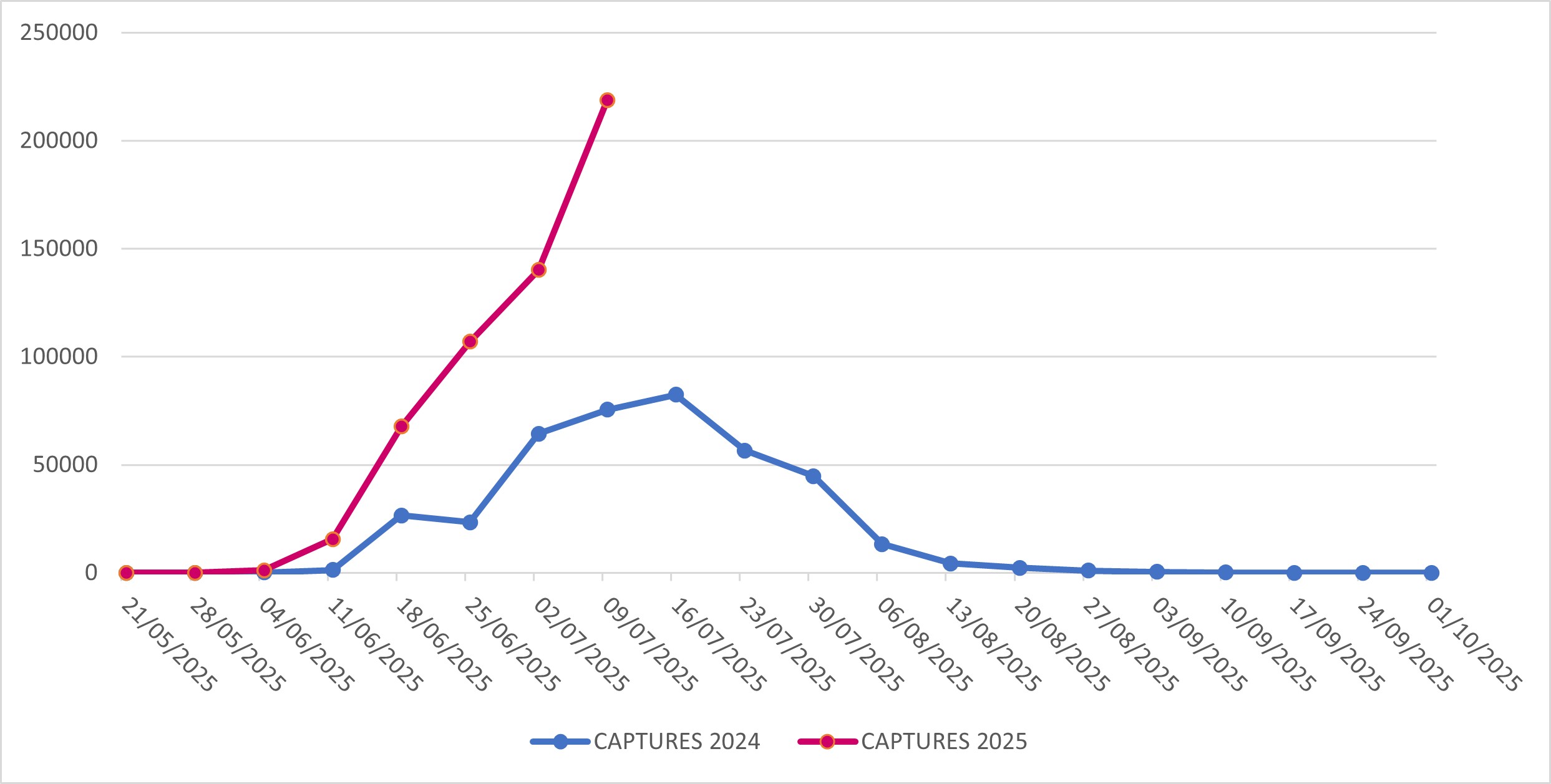 Captures of Popillia japonica in Lombardy Region (years 2024-2025)