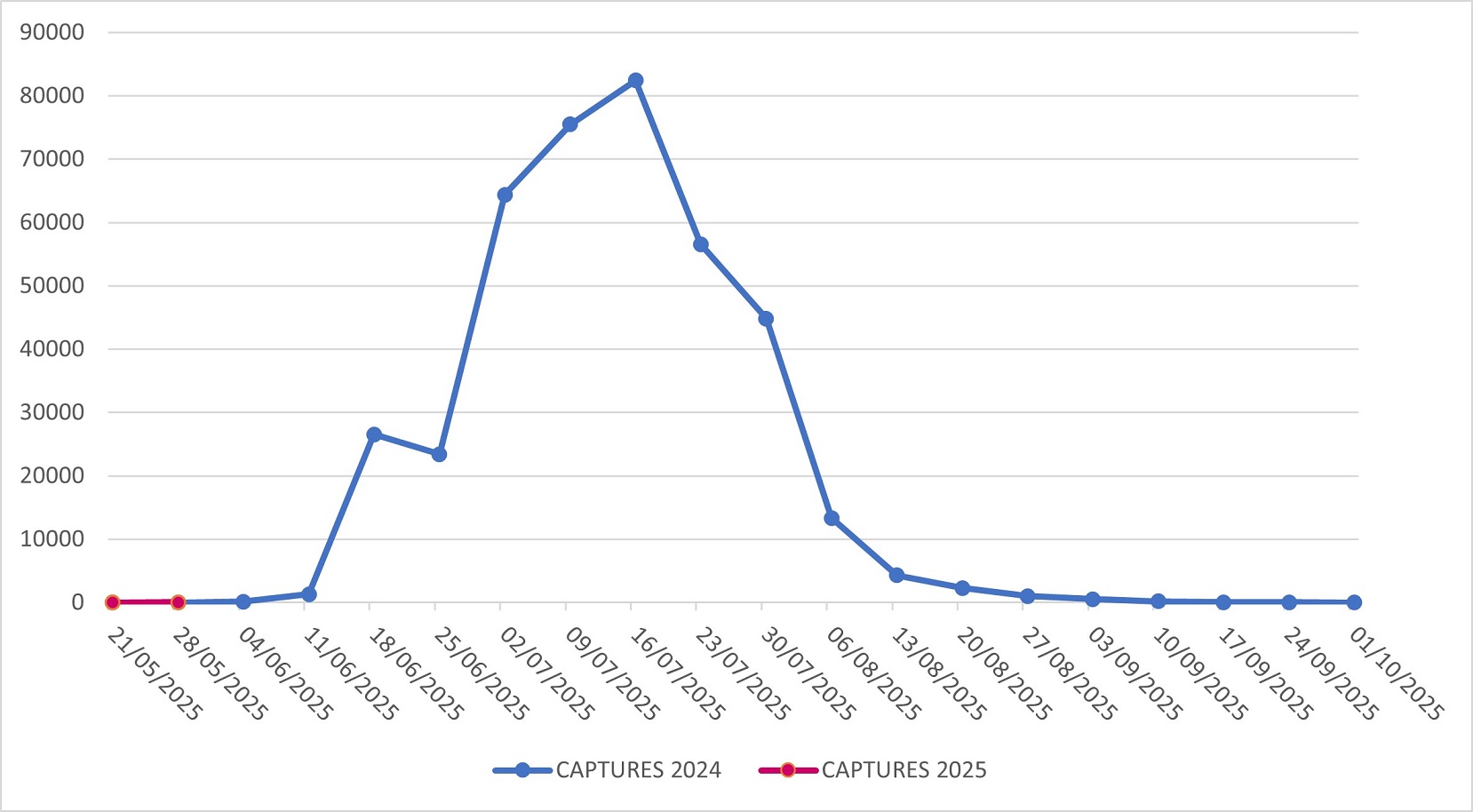 Captures of Popillia japonica in Lombardy Region (years 2024-2025)