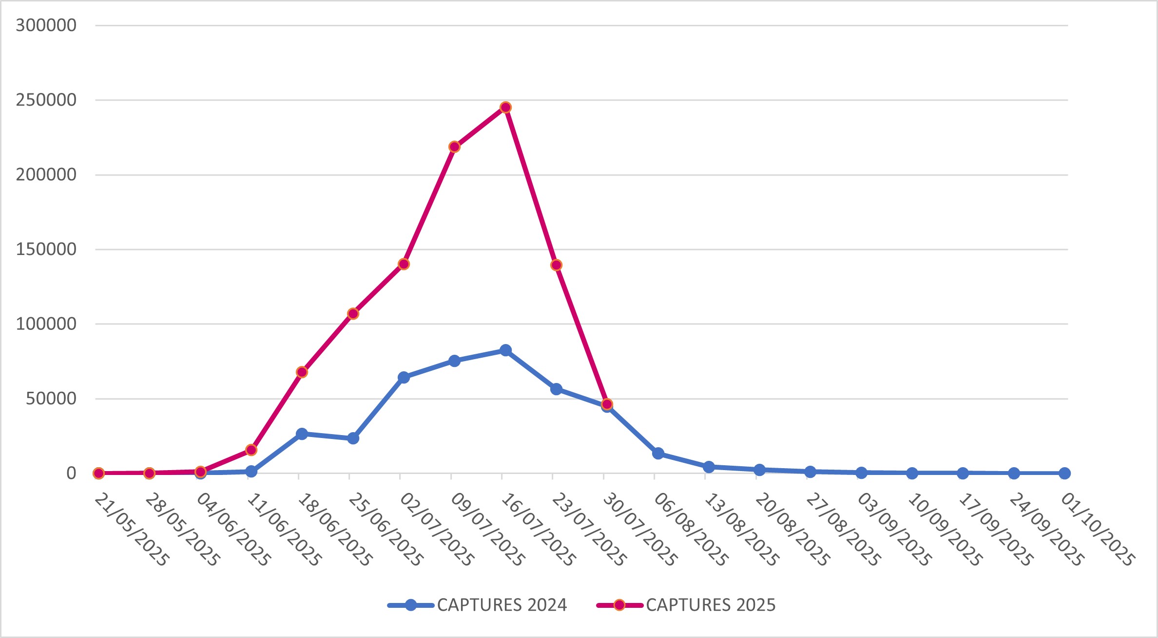 Captures of Popillia japonica in Lombardy Region (years 2024-2025)
