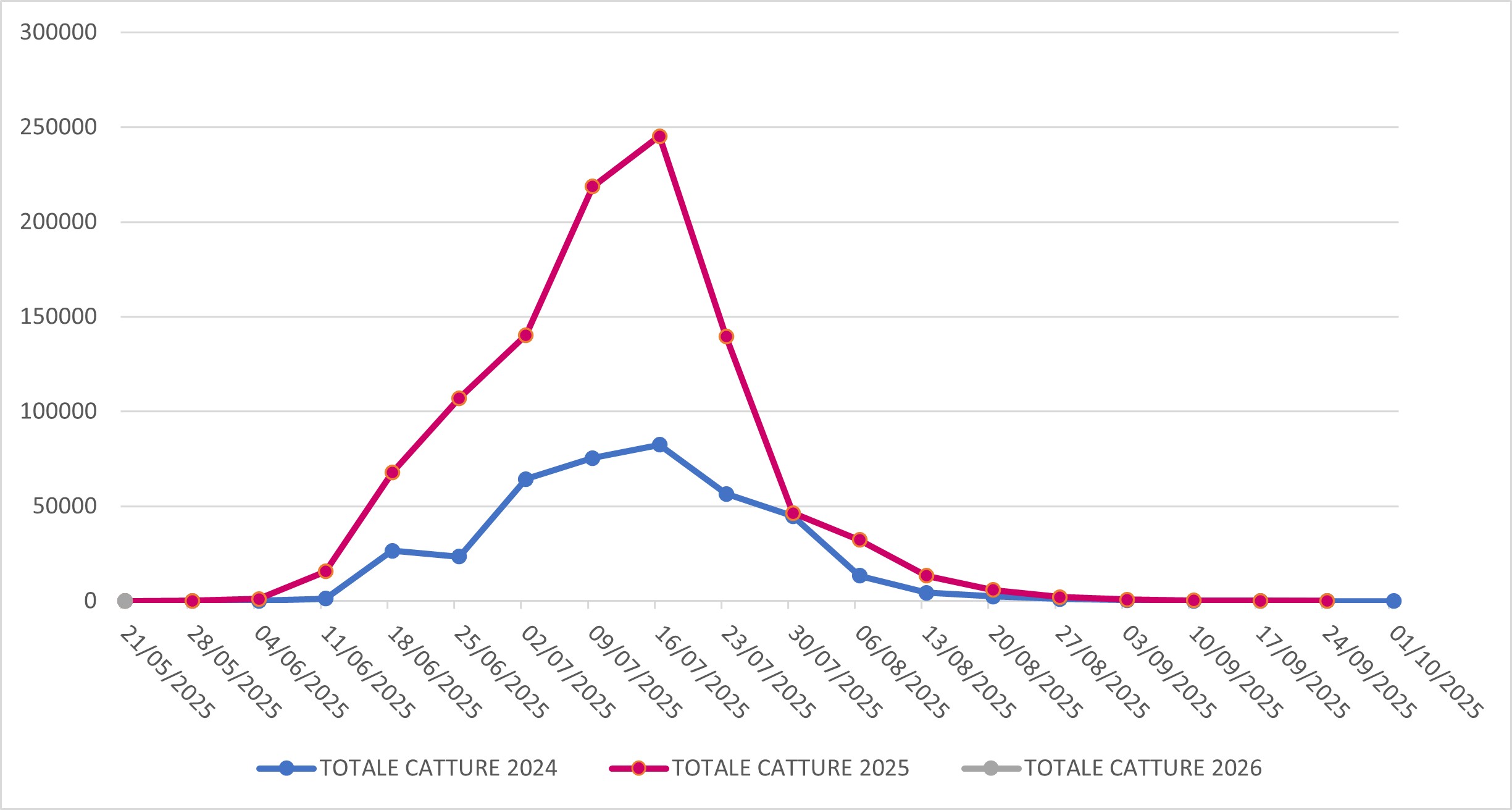 Catture di Popillia japonica sul territorio della regione Lombardia (confronto 2024-2025-2026)