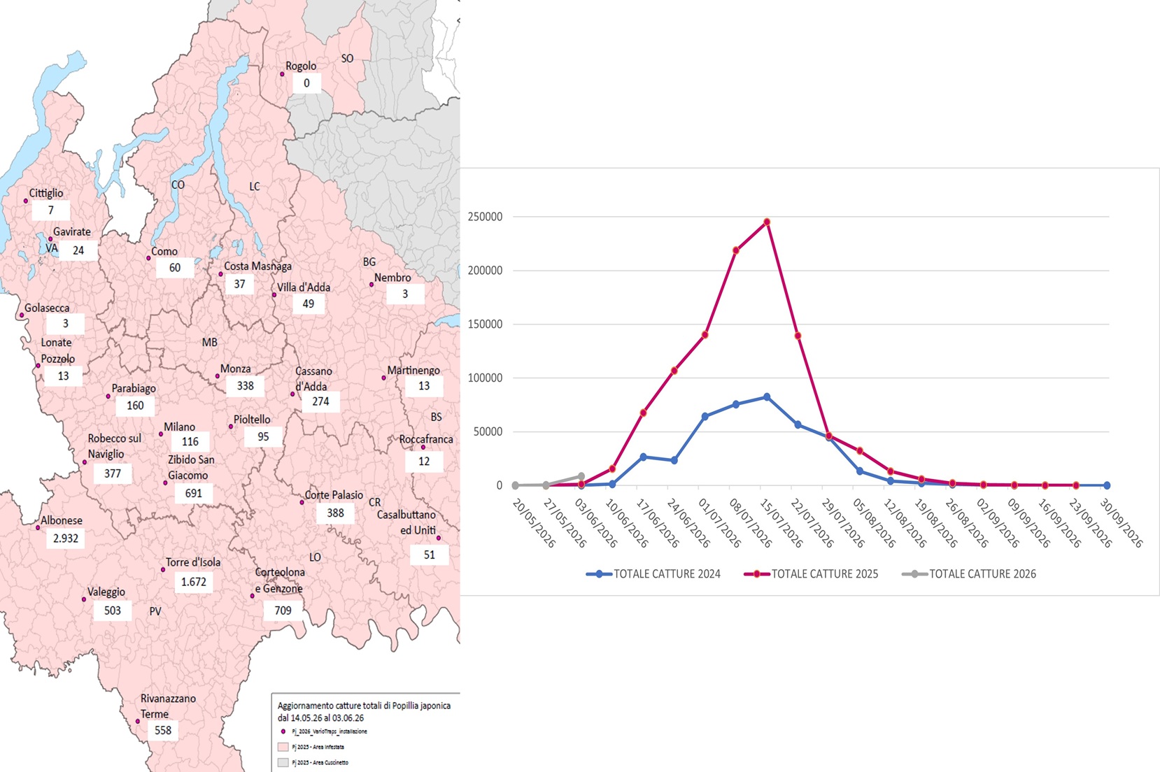 Catture di Popillia japonica sul territorio della regione Lombardia (confronto 2024-2025-2026) e relativa mappa di distribuzione