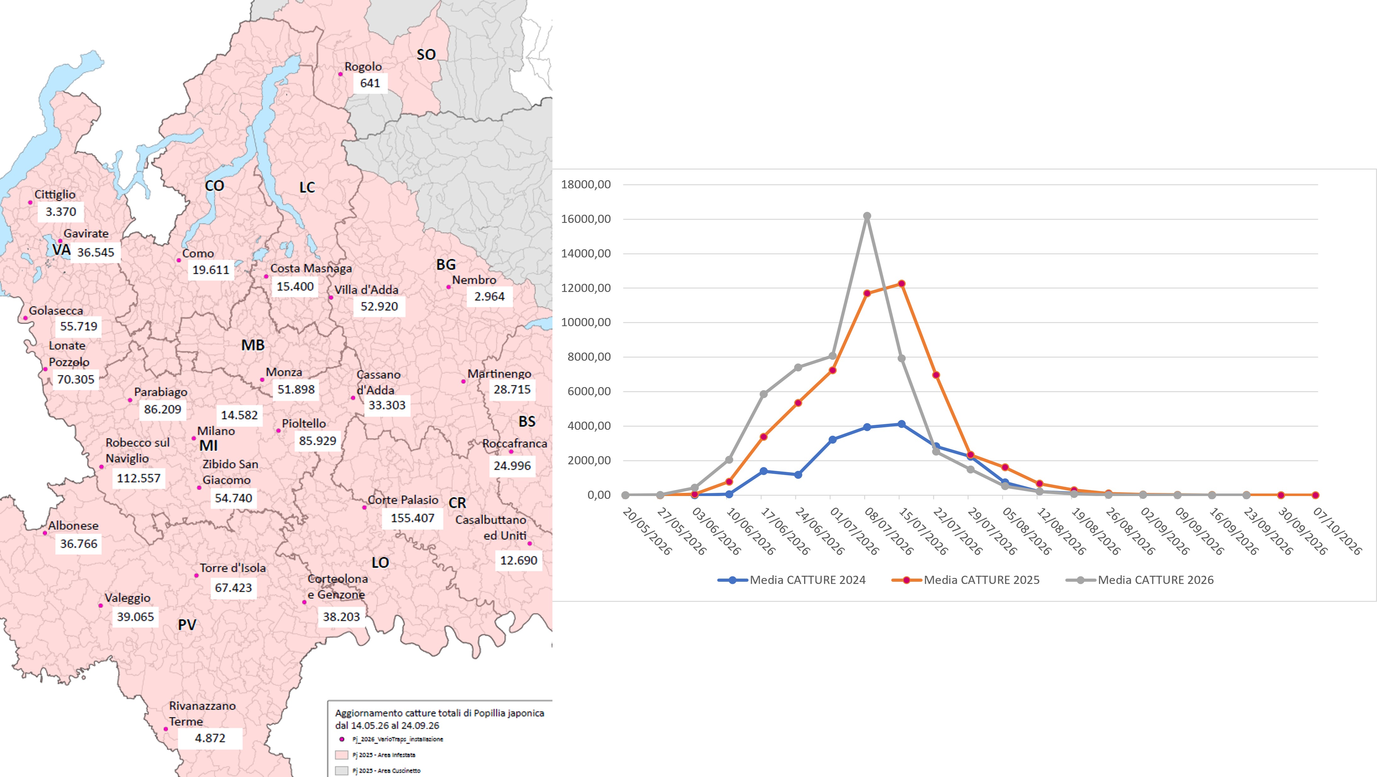 Catture di Popillia japonica sul territorio della regione Lombardia (confronto 2024-2025-2026) e relativa mappa di distribuzione