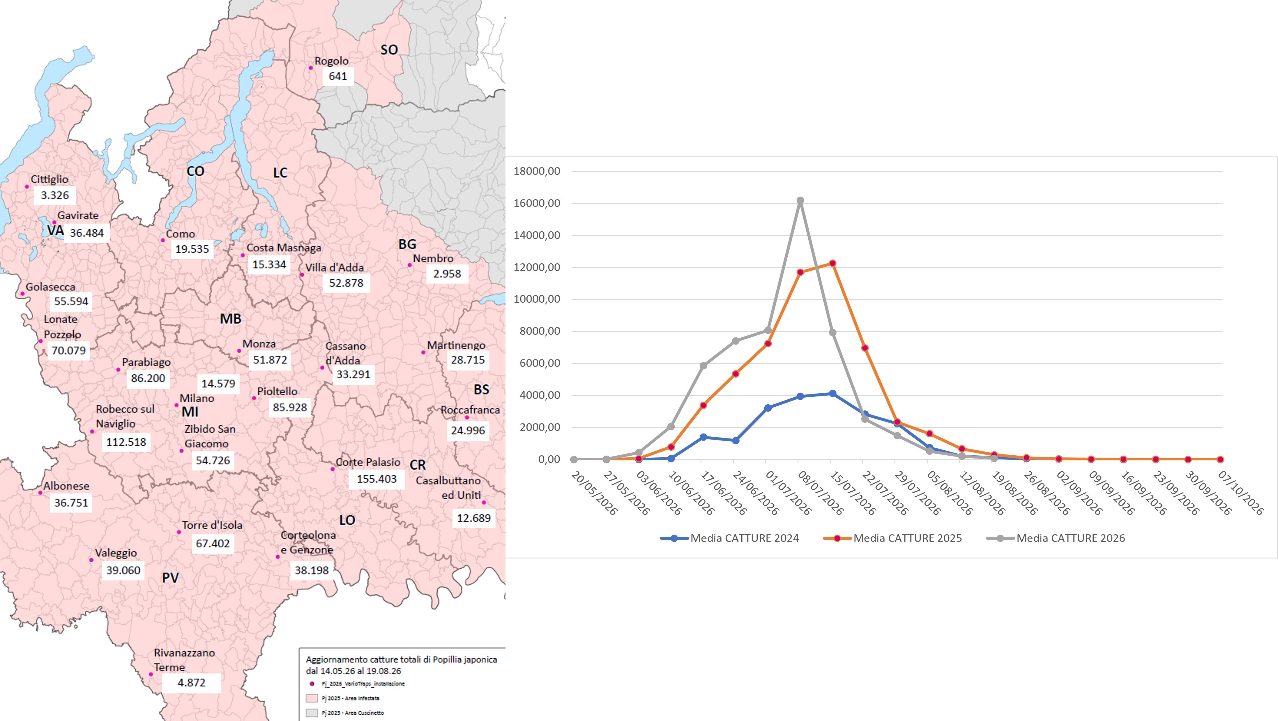 Catture di Popillia japonica sul territorio della regione Lombardia (confronto 2024-2025-2026) e relativa mappa di distribuzione