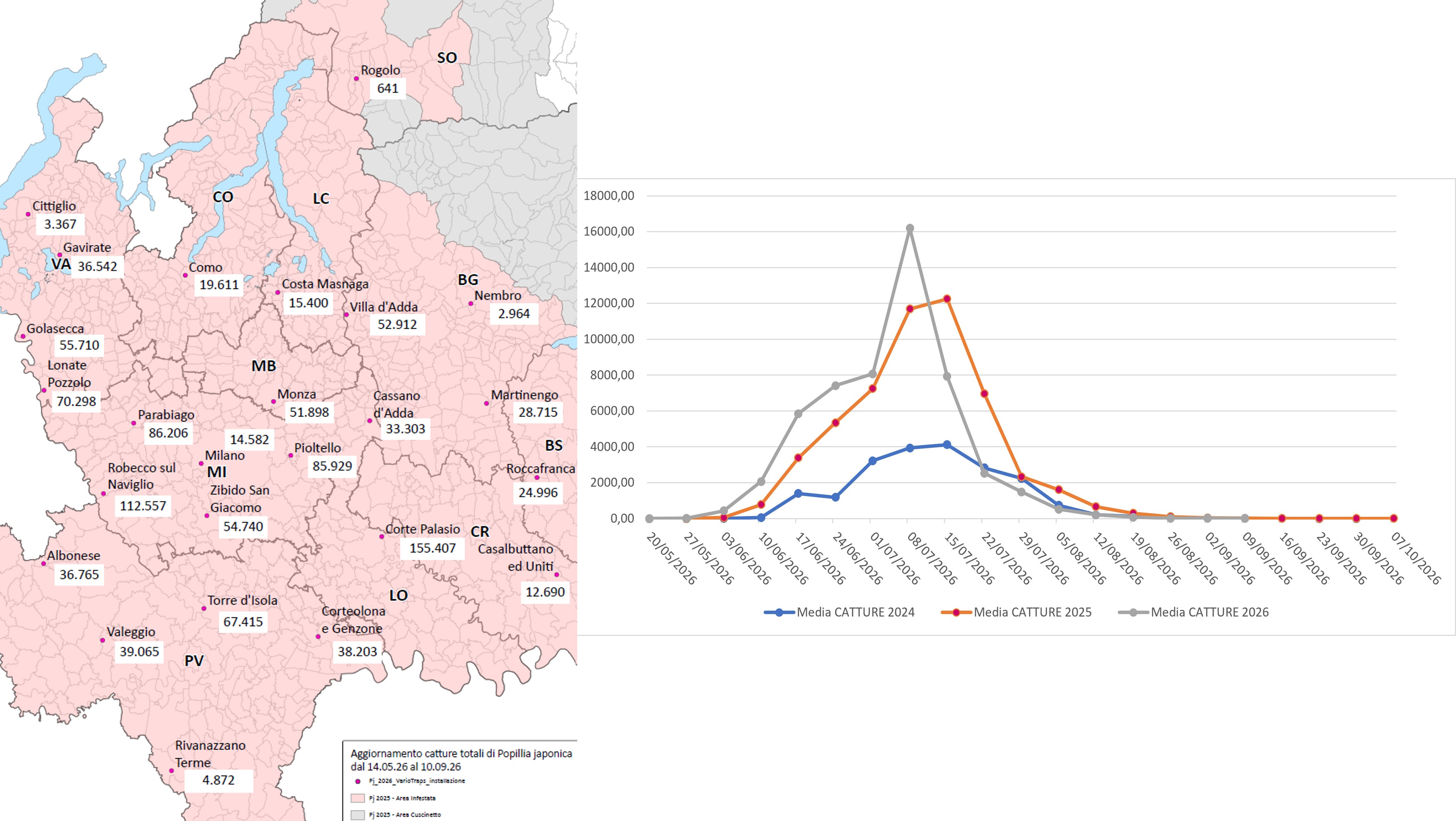 Catture di Popillia japonica sul territorio della regione Lombardia (confronto 2024-2025-2026) e relativa mappa di distribuzione