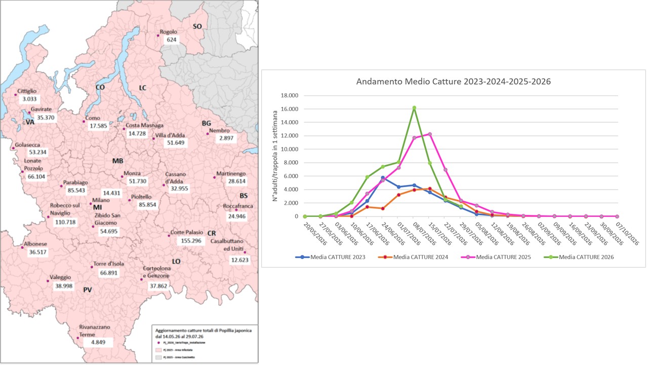 Catture di Popillia japonica sul territorio della regione Lombardia (confronto 2024-2025-2026) e relativa mappa di distribuzione